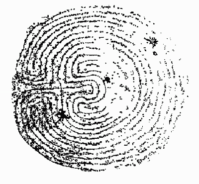 R&ouml;sa ring
